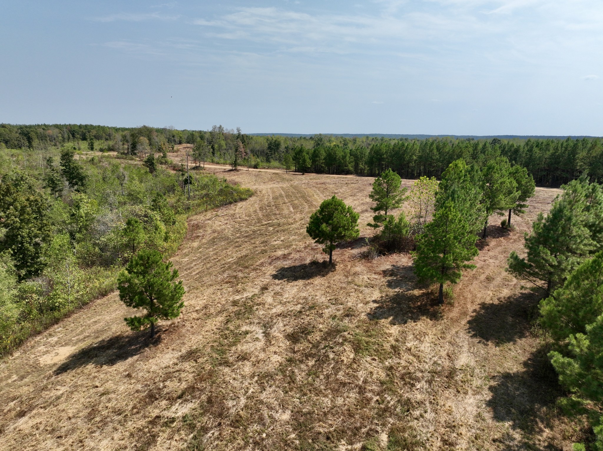 0 Fire Tower Road Erin, TN 37061 - Photo 23 of 31 Gallery Image 23