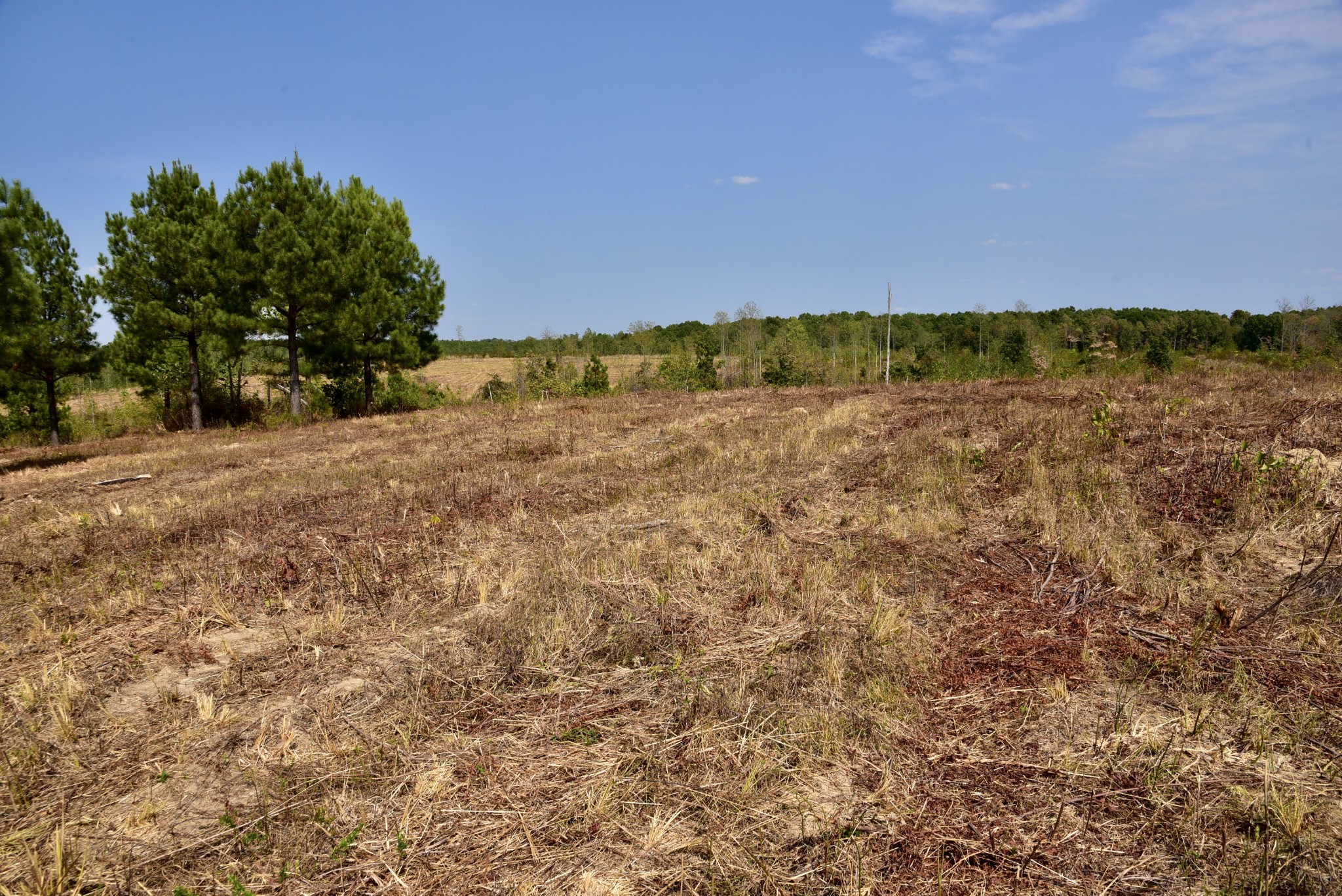 0 Fire Tower Road Erin, TN 37061 - Photo 24 of 31 Gallery Image 24