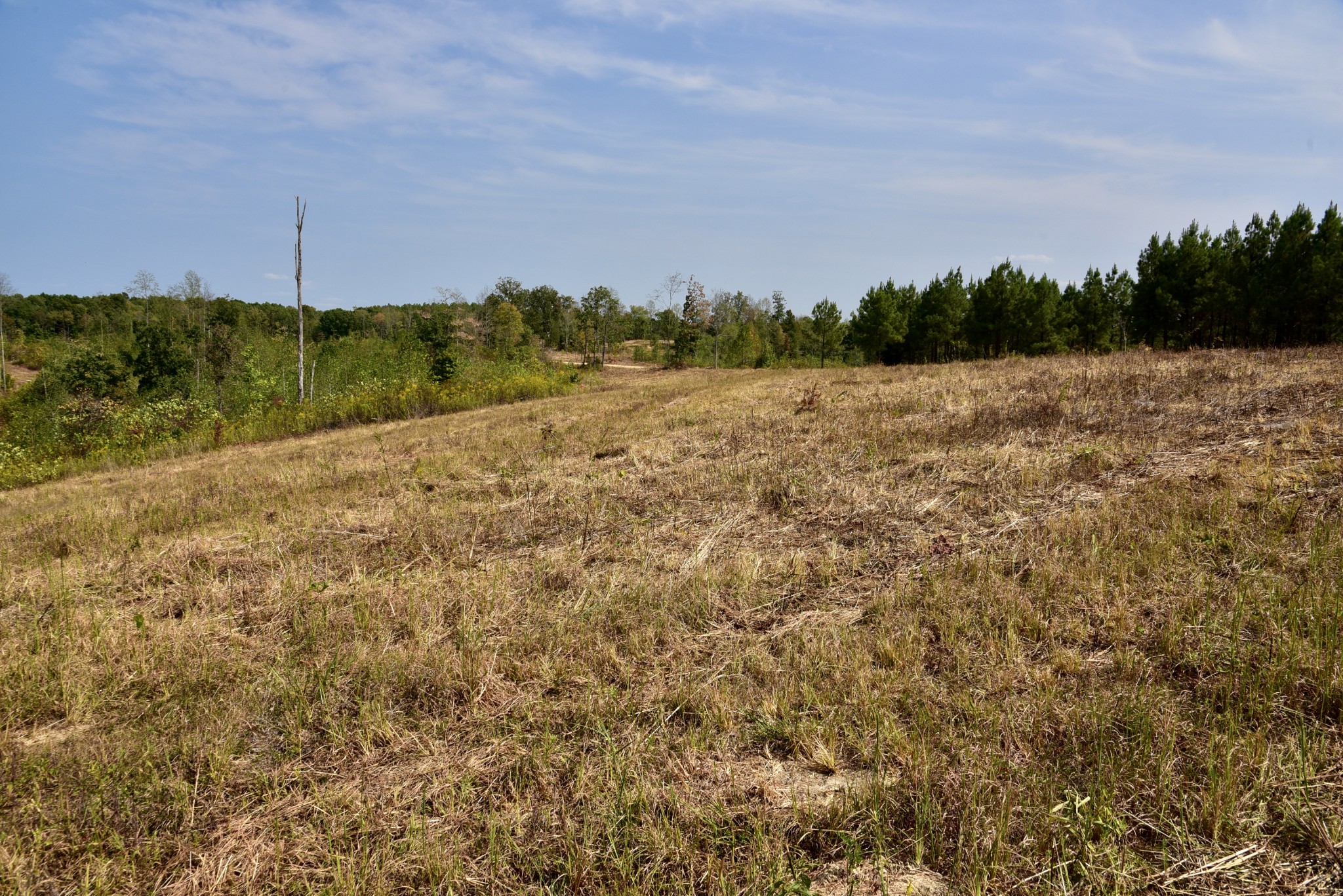 0 Fire Tower Road Erin, TN 37061 - Photo 26 of 31 Gallery Image 26