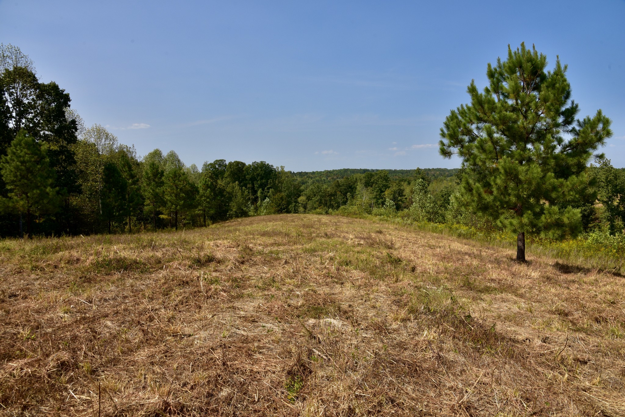 0 Fire Tower Road Erin, TN 37061 - Photo 27 of 31 Gallery Image 27