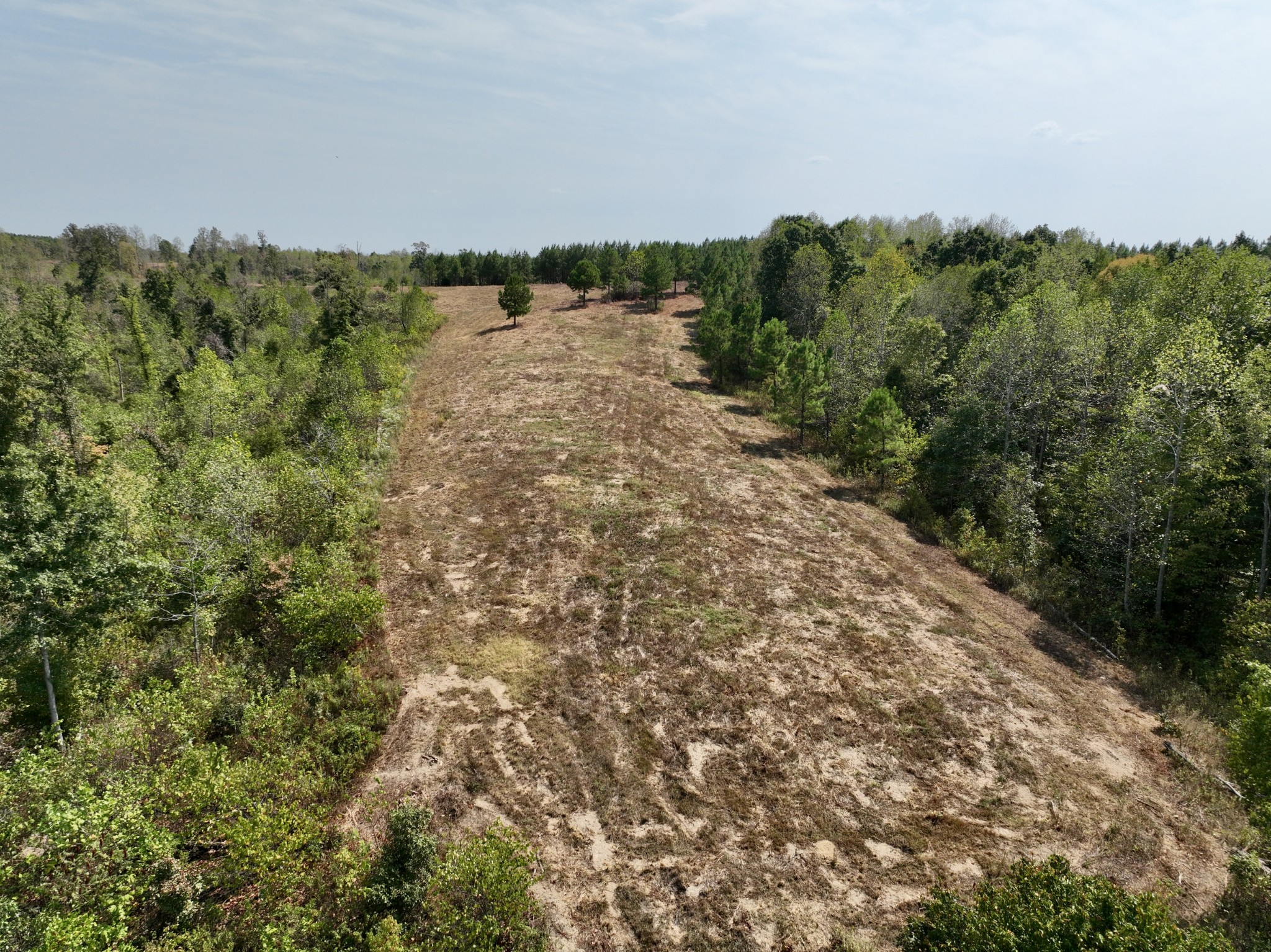 0 Fire Tower Road Erin, TN 37061 - Photo 28 of 31 Gallery Image 28