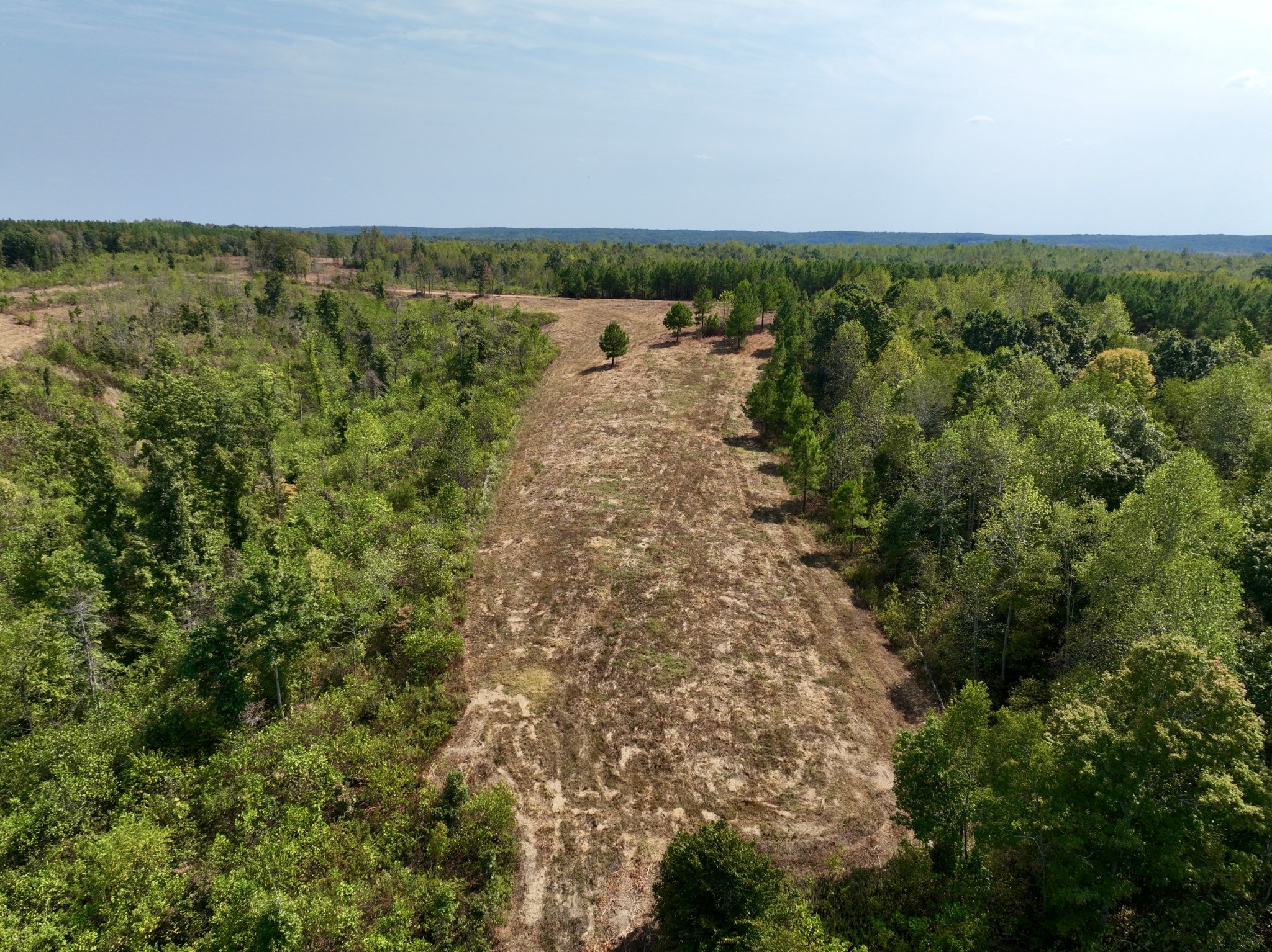 0 Fire Tower Road Erin, TN 37061 - Photo 29 of 31 Gallery Image 29