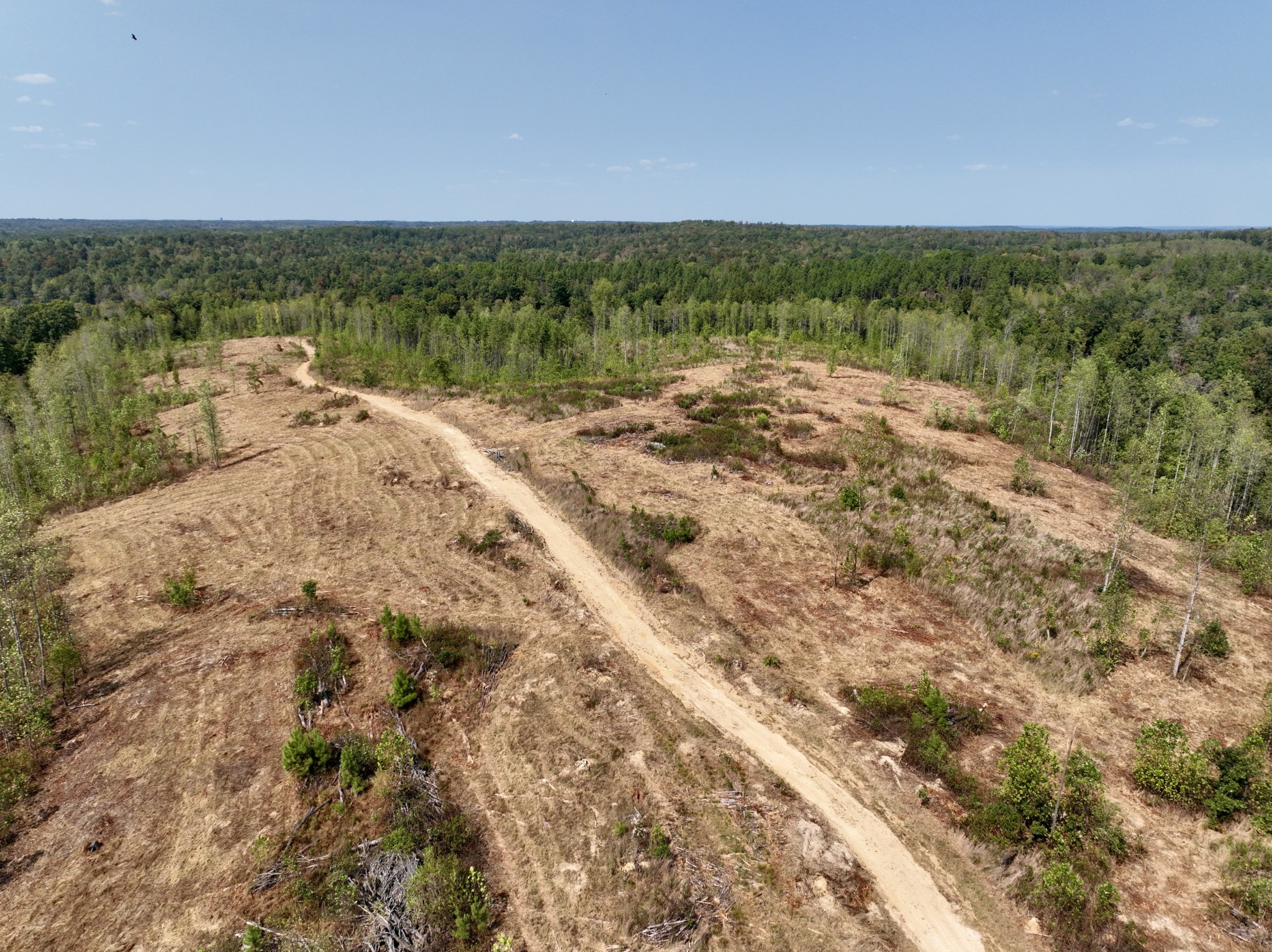 0 Fire Tower Road Erin, TN 37061 - Photo 10 of 31 Gallery Image 10