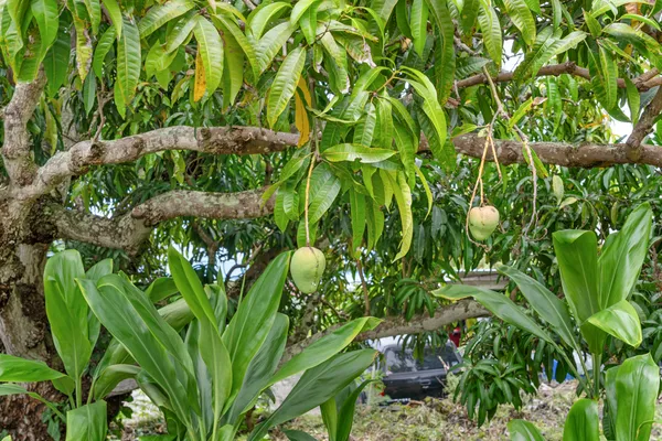 $650,000 | 74-5068 Kai Opua Street, Kailua-Kona, HI 96740