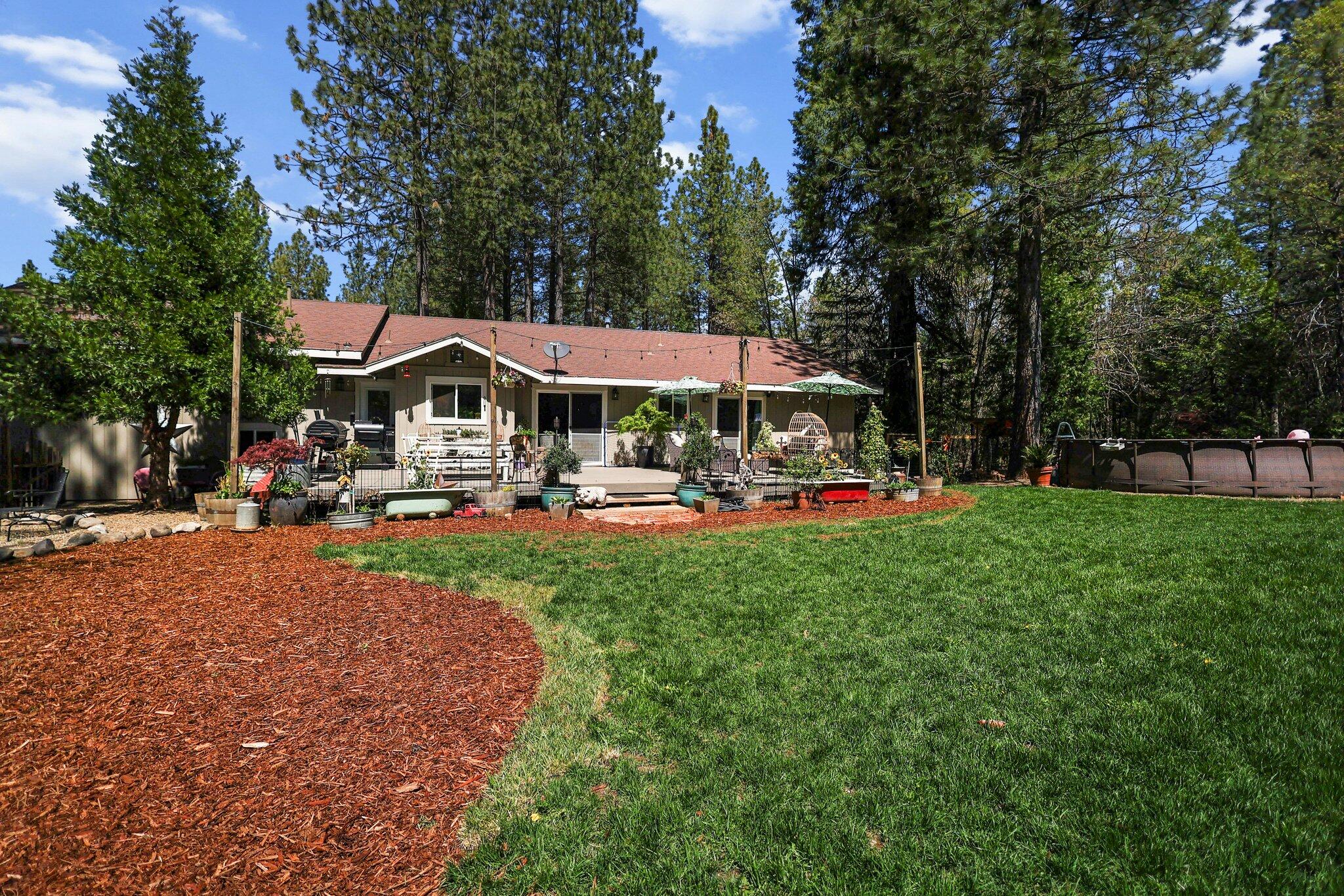 30726 Shingletown Ridge Road Shingletown, CA 96088 - Photo 6 of 84 38-web-or-mls-LZ0A1842
