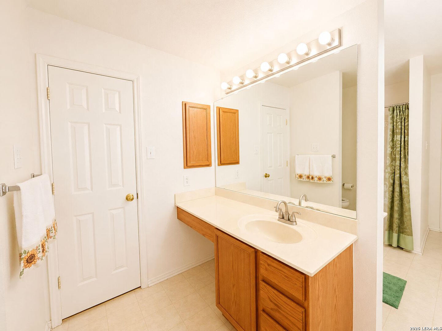 133 Springtree Parkway Cibolo, TX 78108 - Photo 13 of 20 Gallery Image 13