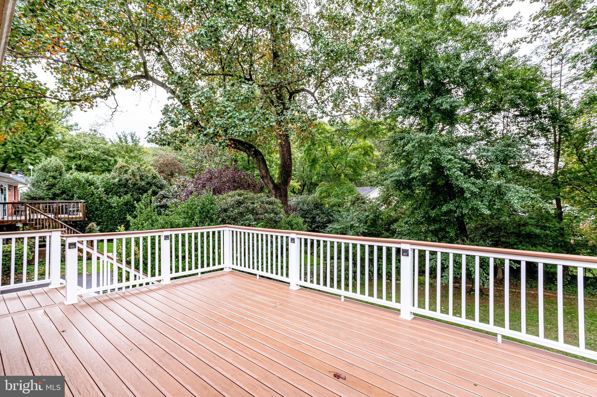 7329 Pinecastle Road Falls Church, VA 22043 - Photo 47 of 53