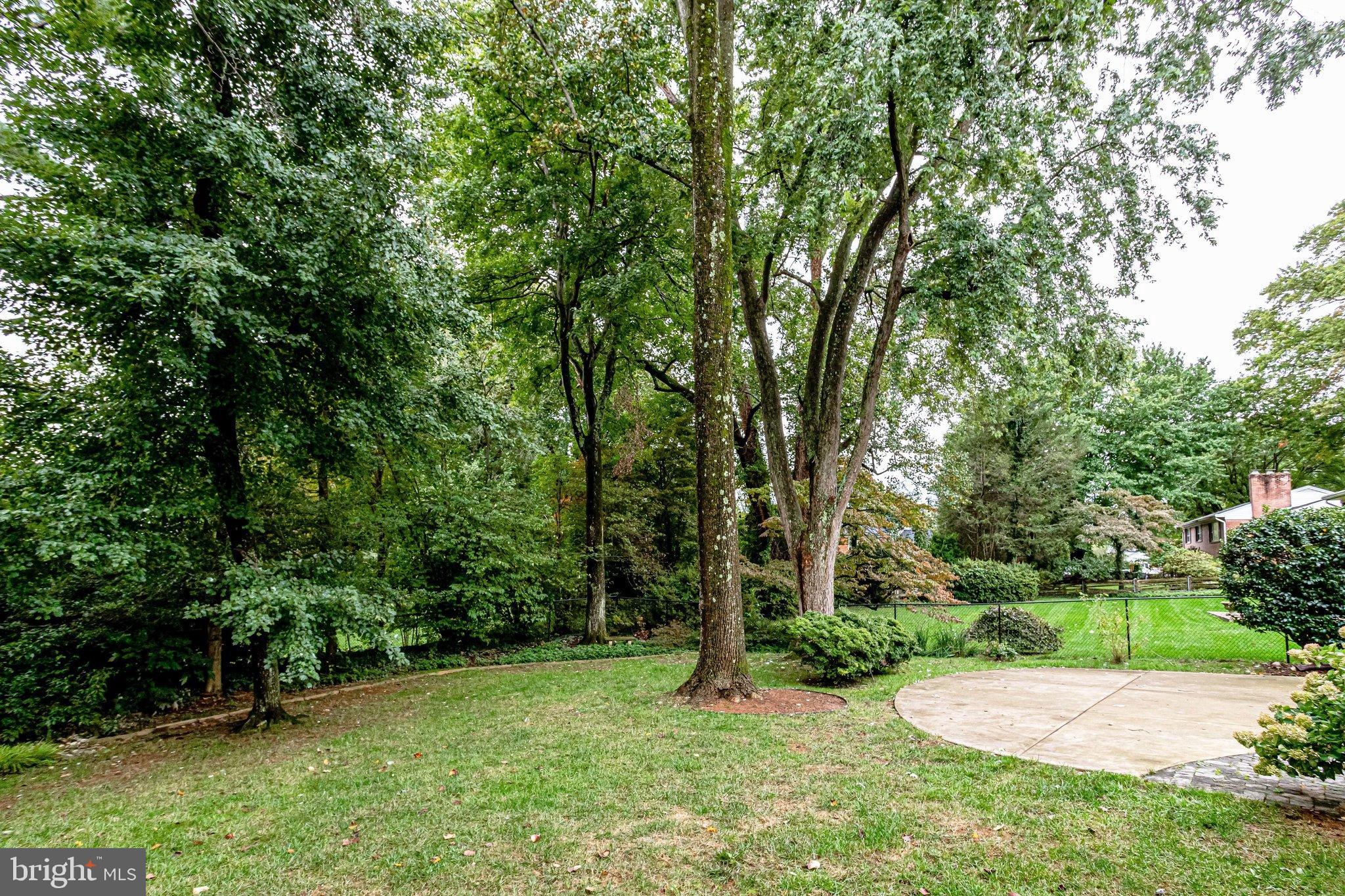 7329 Pinecastle Road Falls Church, VA 22043 - Photo 49 of 53