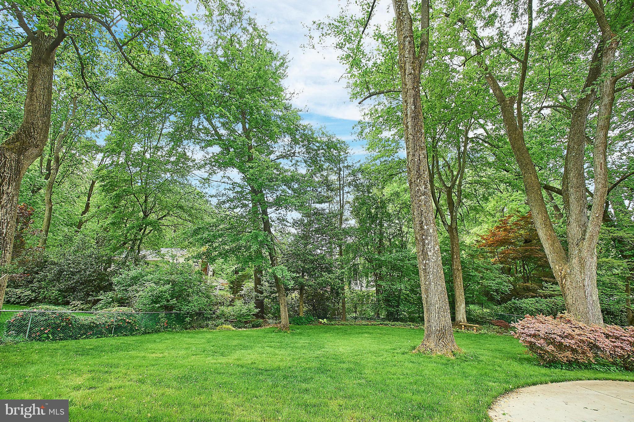 7329 Pinecastle Road Falls Church, VA 22043 - Photo 50 of 53
