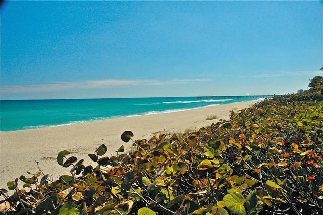 214 New Haven Boulevard Jupiter, FL 33458 - Photo 29 of 30 Juno Pier