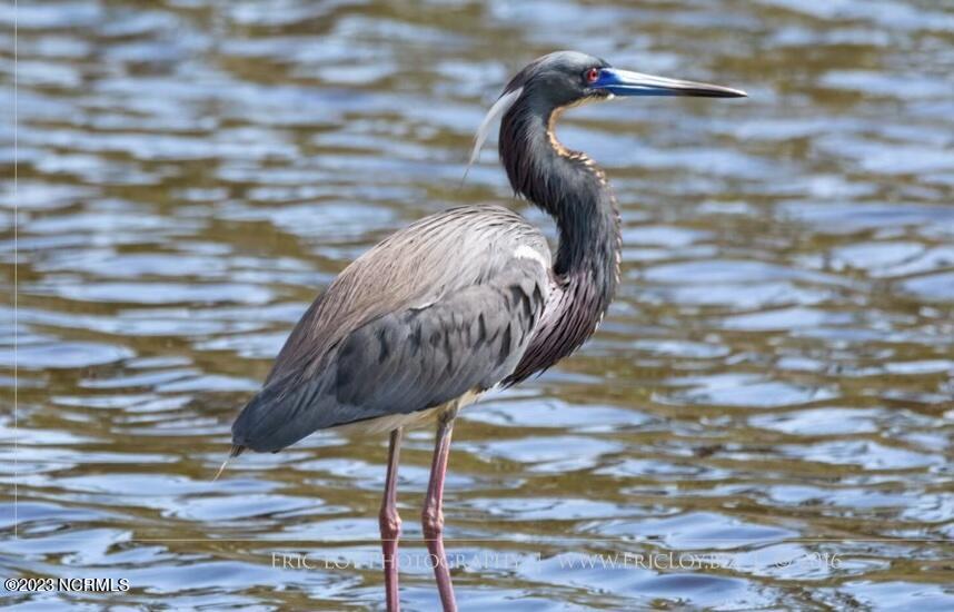 141 Black Duck Road Davis, NC 28524 - Photo 17 of 36 BeachBird