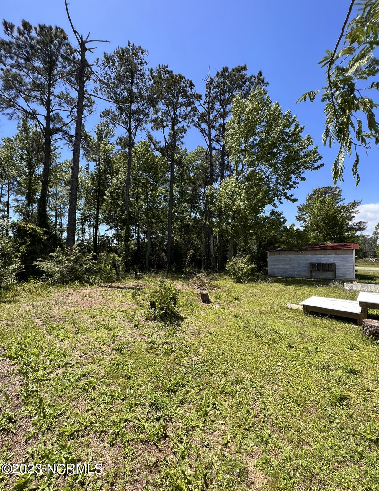 141 Black Duck Road Davis, NC 28524 - Photo 27 of 36 141 Black Duck Back Yard shed