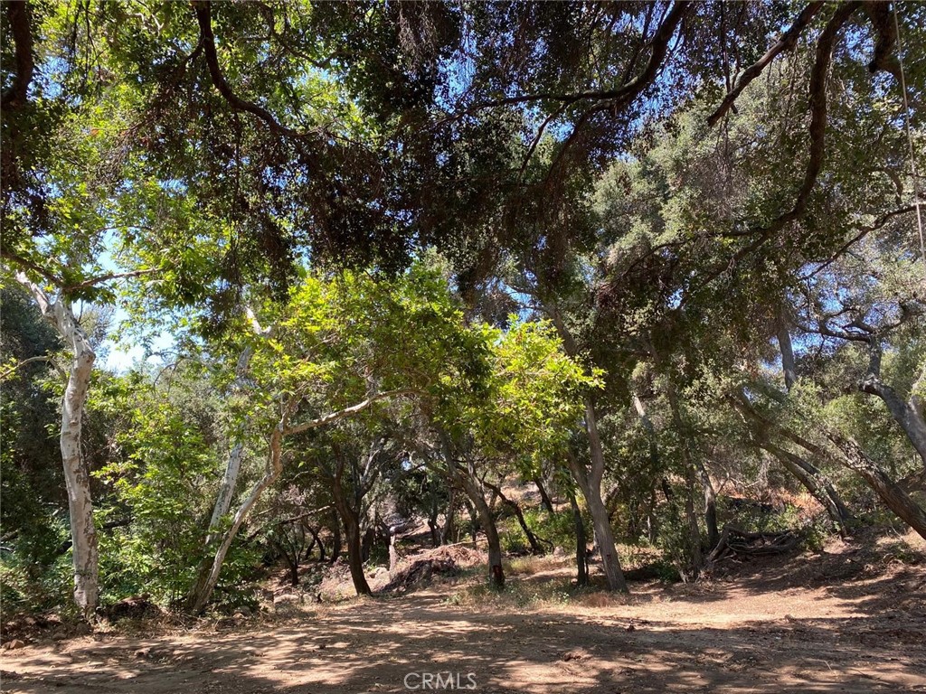 0 El Calamar Road Temecula, CA 92590 - Photo 2 of 20 a view of a tree in a yard