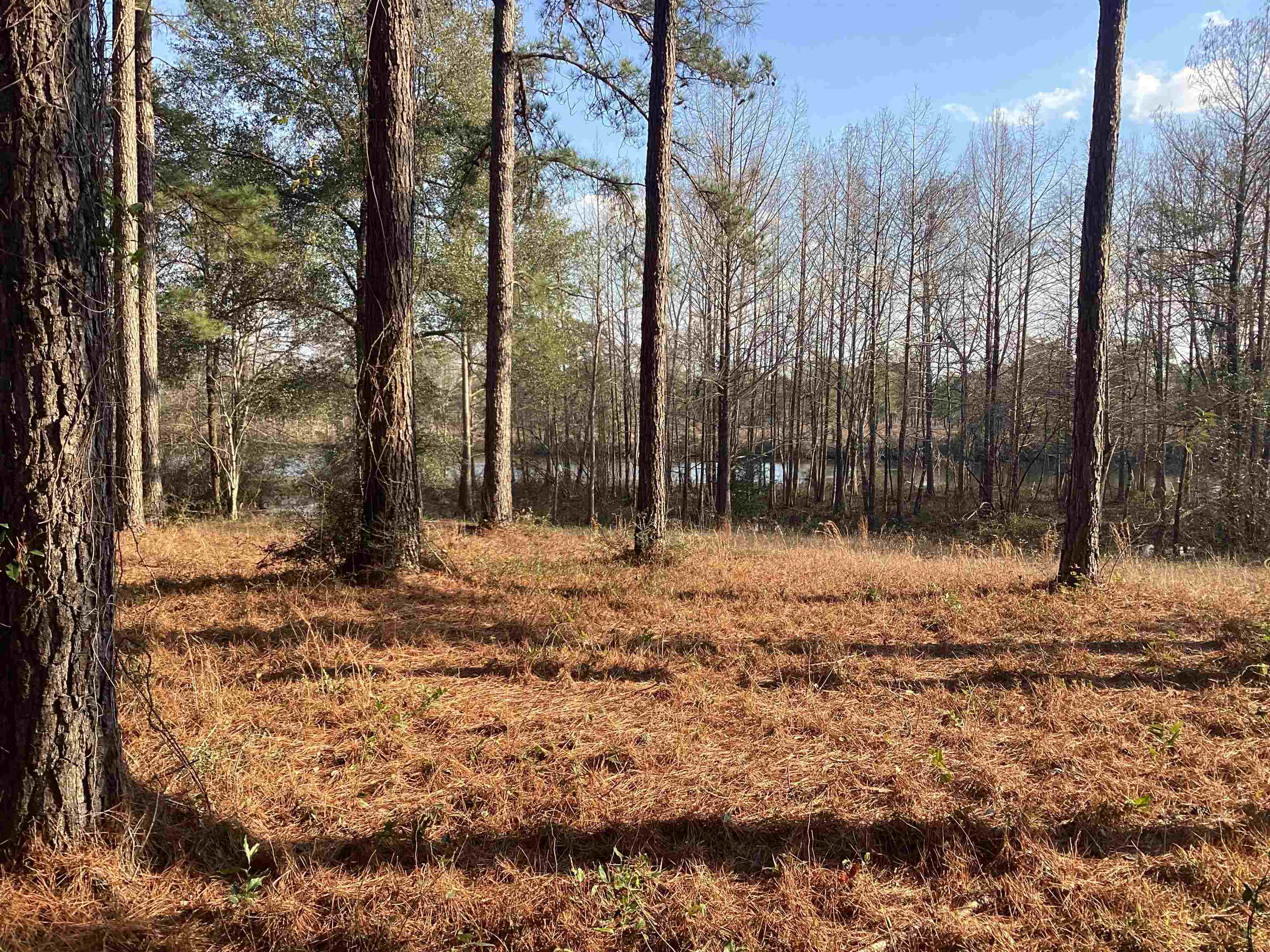 30 Harbor Road Andalusia, AL 36421 - Photo 3 of 20 Gallery Image 3