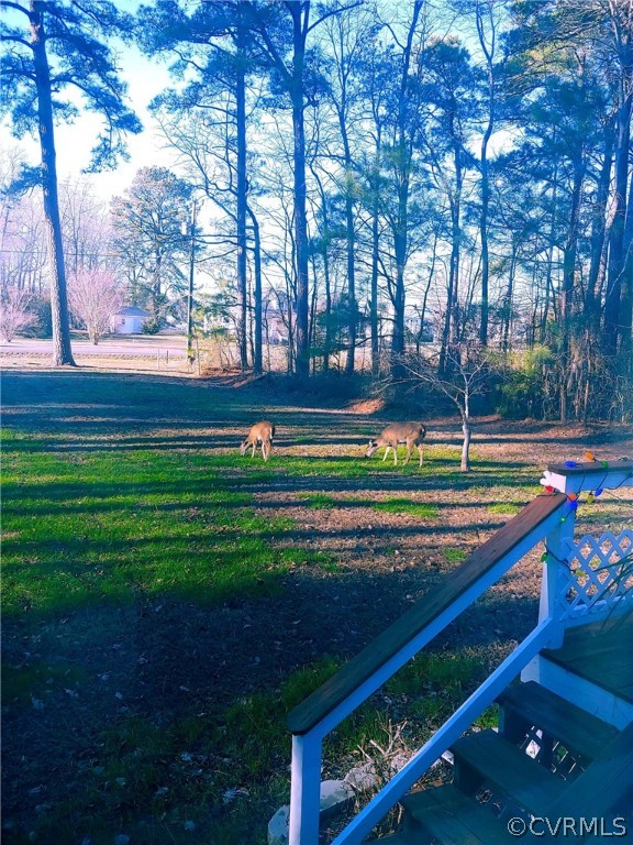 1163 Fleeton Road Reedville, VA 22539 - Photo 27 of 34 Deer frequently visit