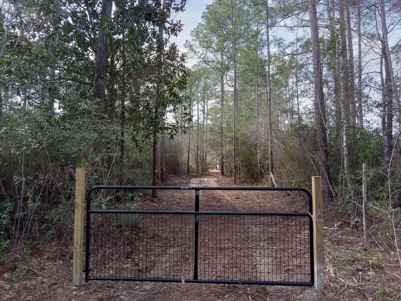 0 J W Hollington Road Freeport, FL 32439 - Photo 2 of 5 gate 2