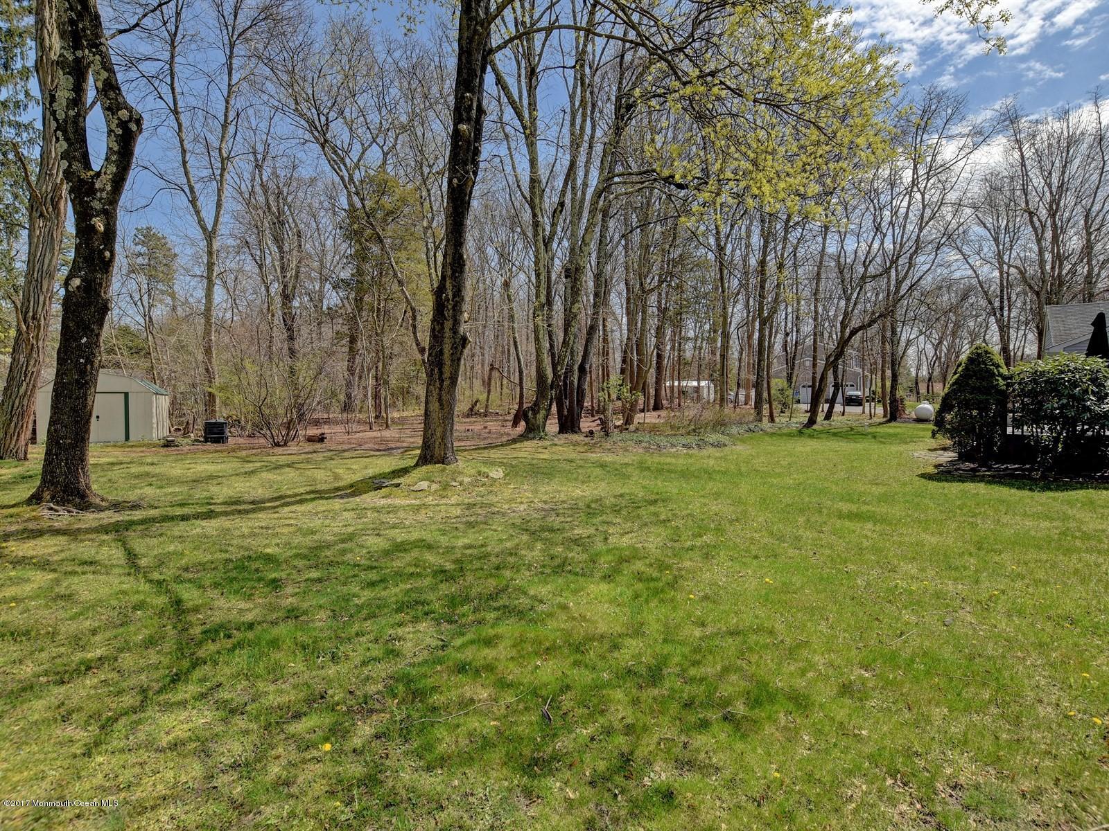 115 Georgia Road Freehold, NJ 07728 - Photo 20 of 21 031_Backyard