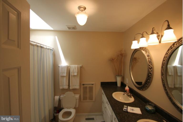 19233 South Merrimac Road Culpeper, VA 22701 - Photo 10 of 26 Bath (Master)