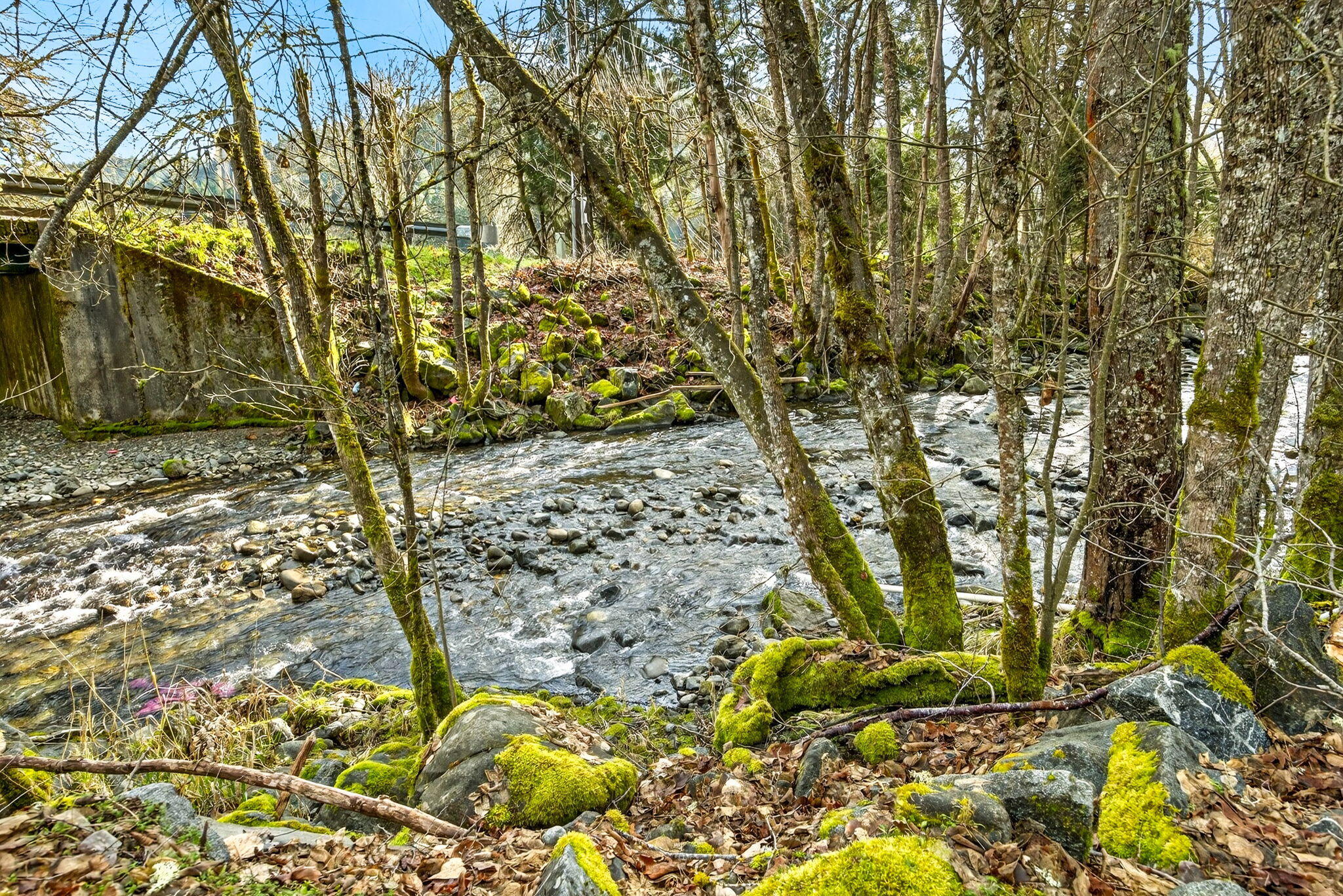 320 Caves Camp Road Williams, OR 97544 - Photo 77 of 101 ApxCCR00091