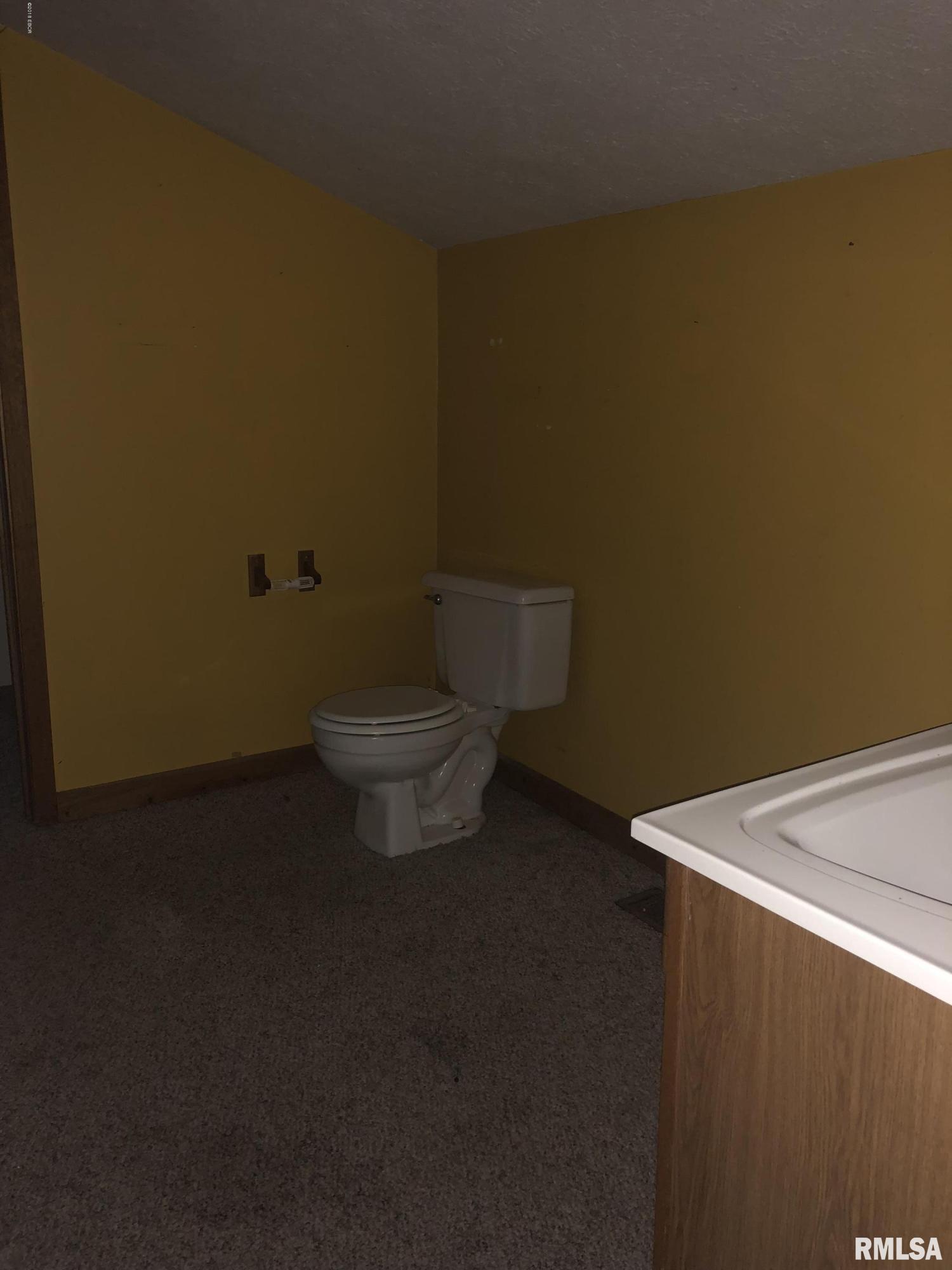 7068 Concord Road Sesser, IL 62884 - Photo 9 of 12