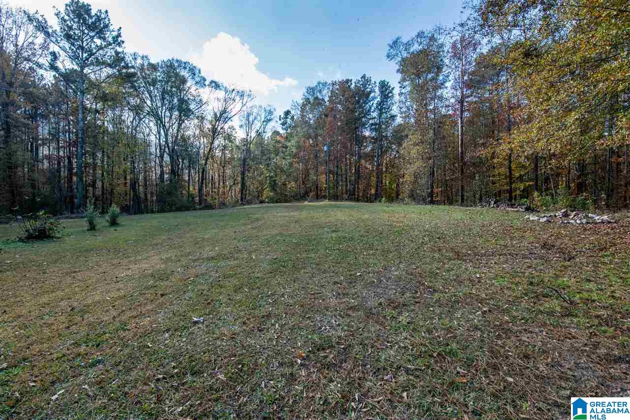 481 Highway 45 Sterrett, AL 35147 - Photo 7 of 41