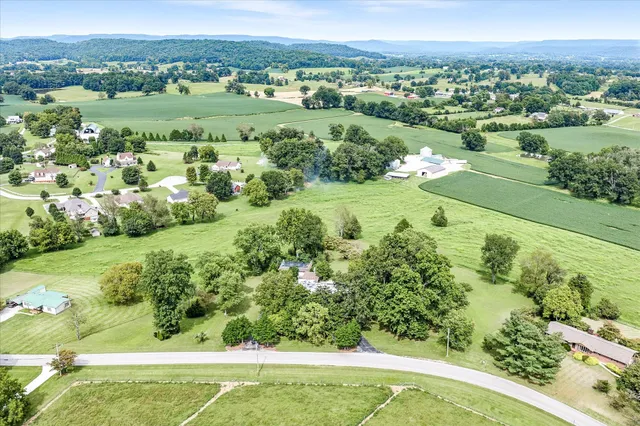 an aerial view of green landscape with trees houses and trees