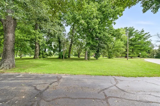 a green field with trees in the background