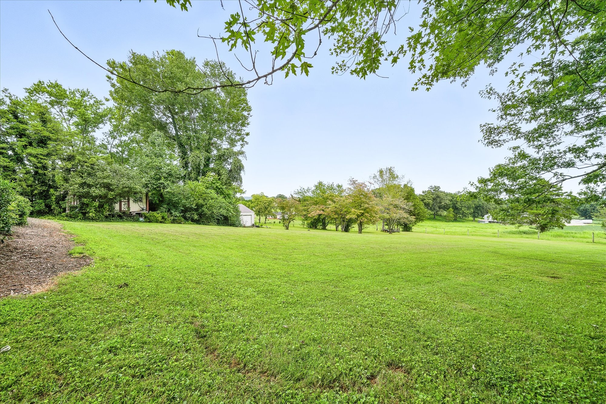 548 Turntable Road Sparta, TN 38583 - Photo 40 of 51 a view of a field with an trees