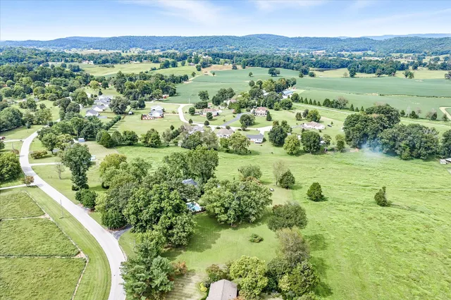 a view of a lush green forest with trees and houses