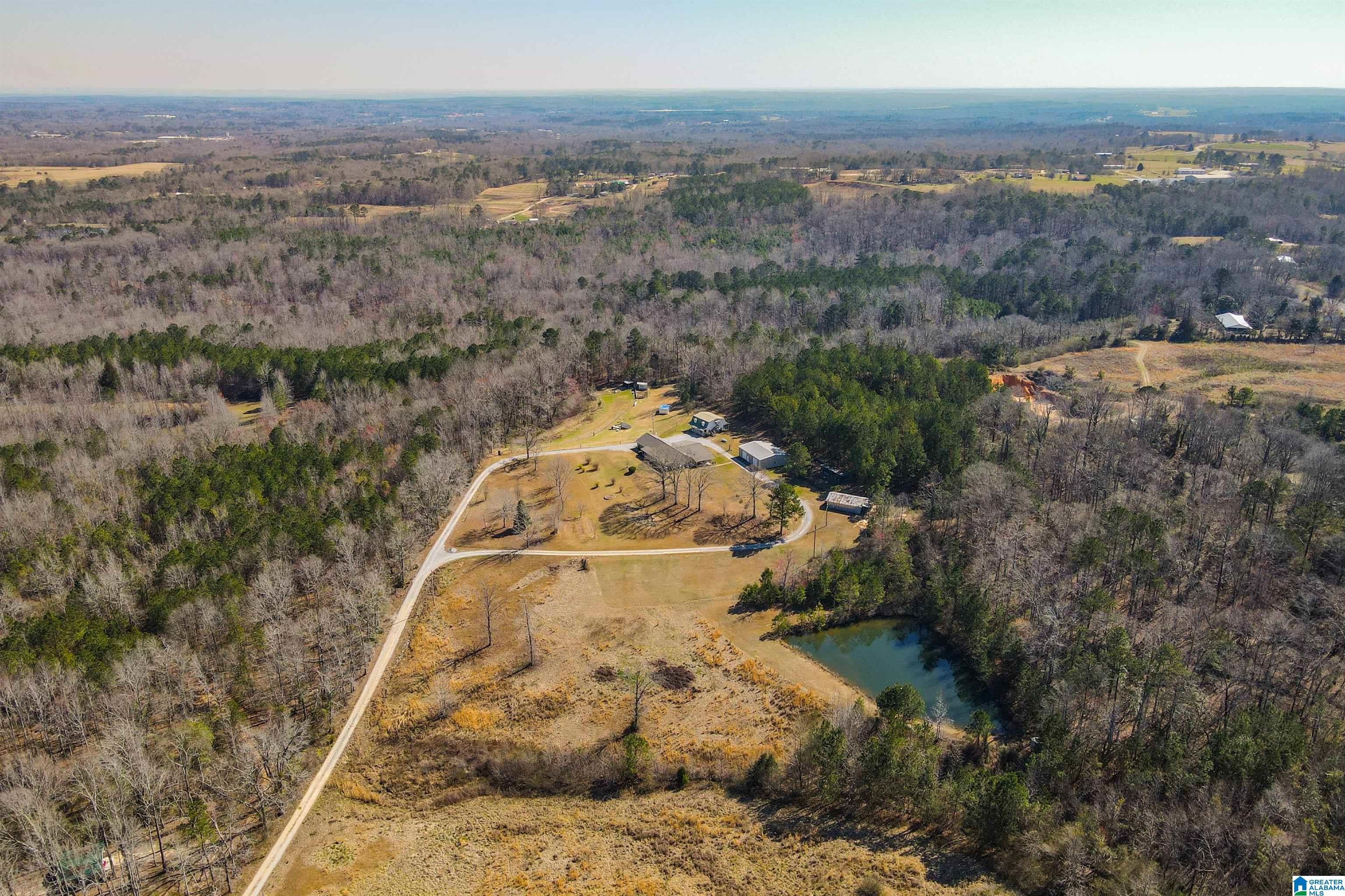 3631 County Road 69 Clanton, AL 35045 - Photo 9 of 50