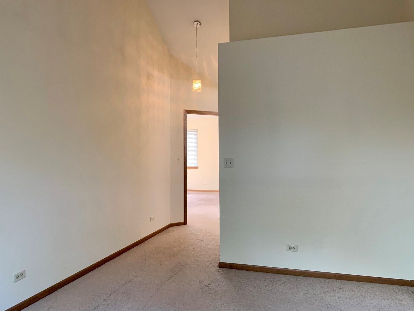 1039 Ripple Ridge, Unit 1039 Darien, IL 60561 - Photo 14 of 22