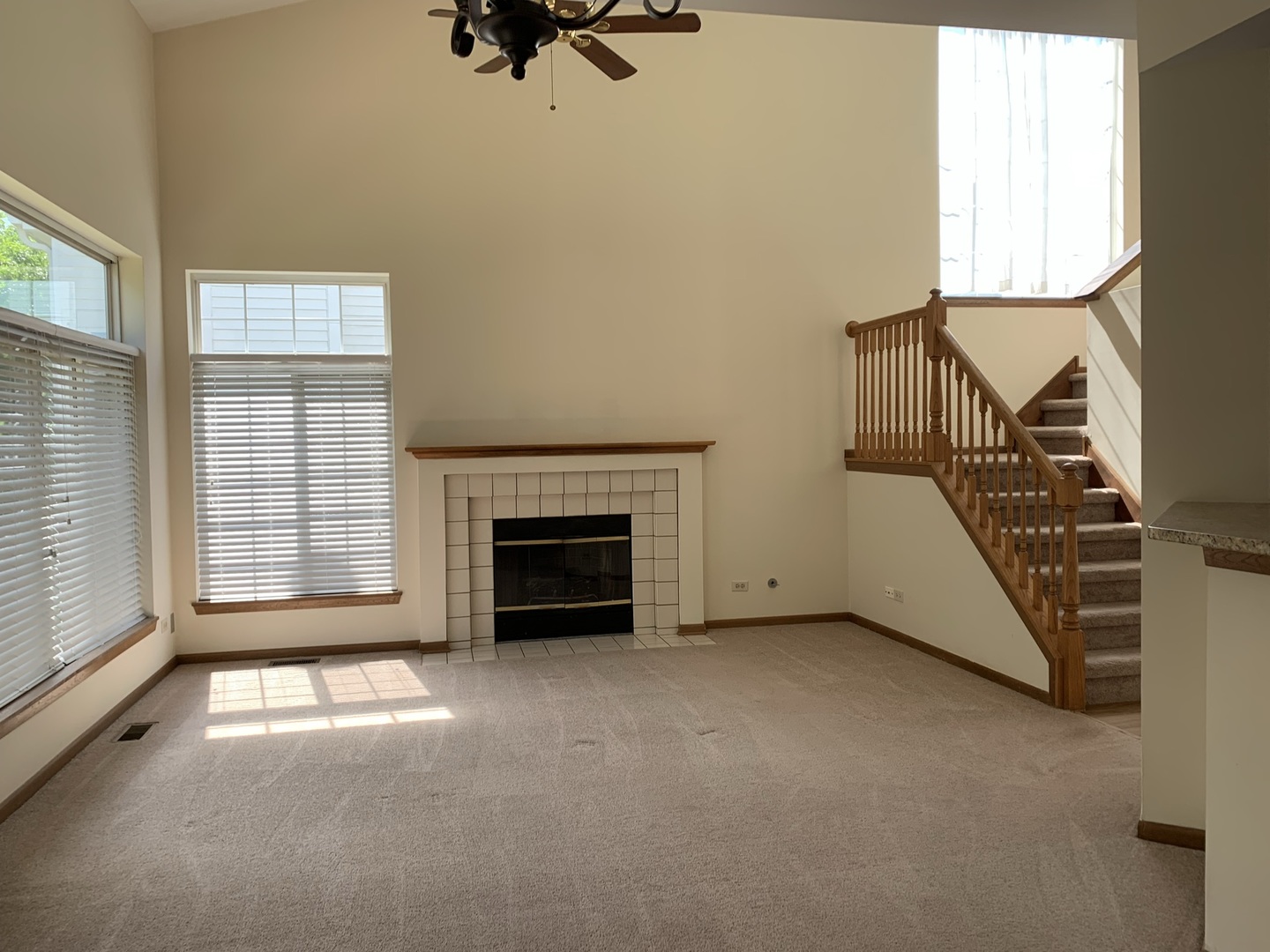 1039 Ripple Ridge, Unit 1039 Darien, IL 60561 - Photo 3 of 22