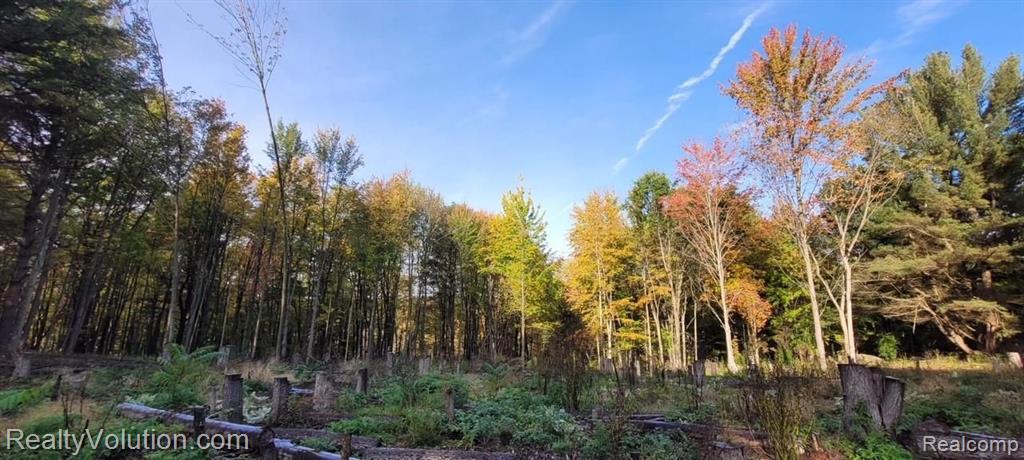 25-acres Curtis Road Leonard, MI 48367 - Photo 1 of 7 Gallery Image 1