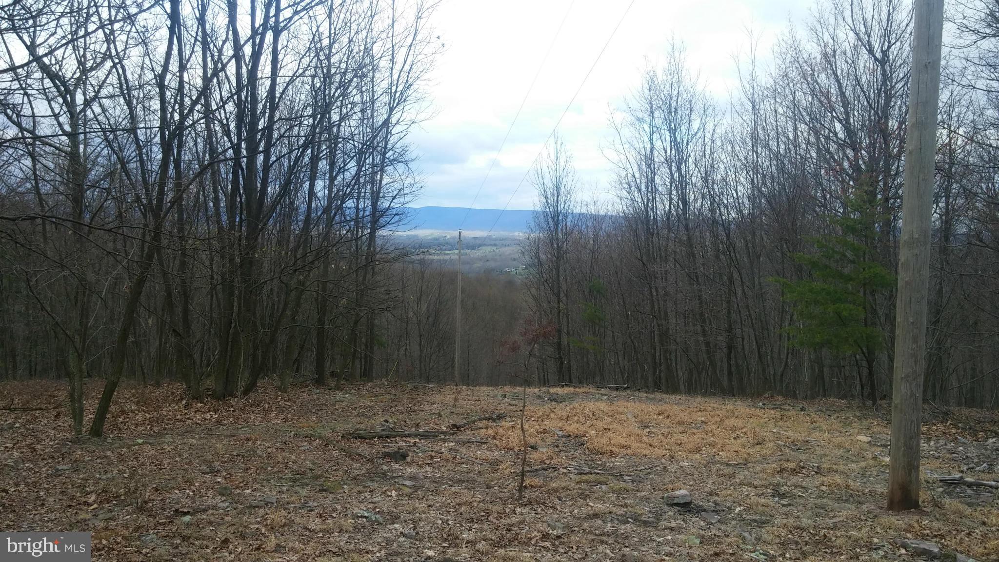 8-9 Off Rt Berkeley Springs Berkeley Springs, WV 25411 - Photo 2 of 4 a backyard of a house