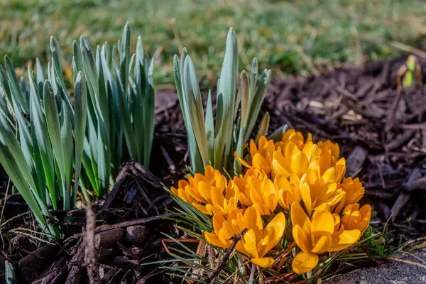 $279,900 | 1205 Settlers Lane, Harrisonburg, VA 22802