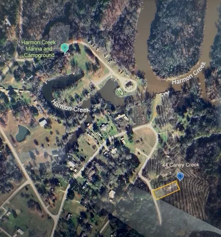 a view of a tree in a yard