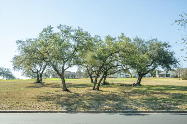 a view of park with trees