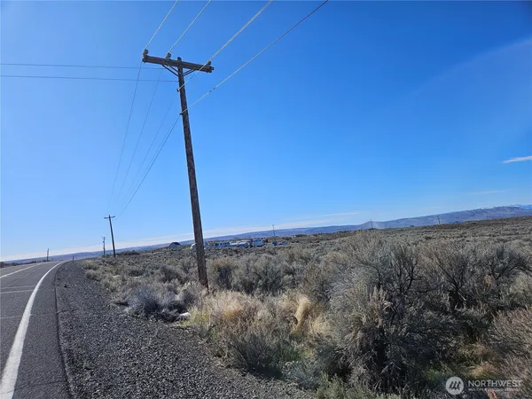 a view of a dry yard