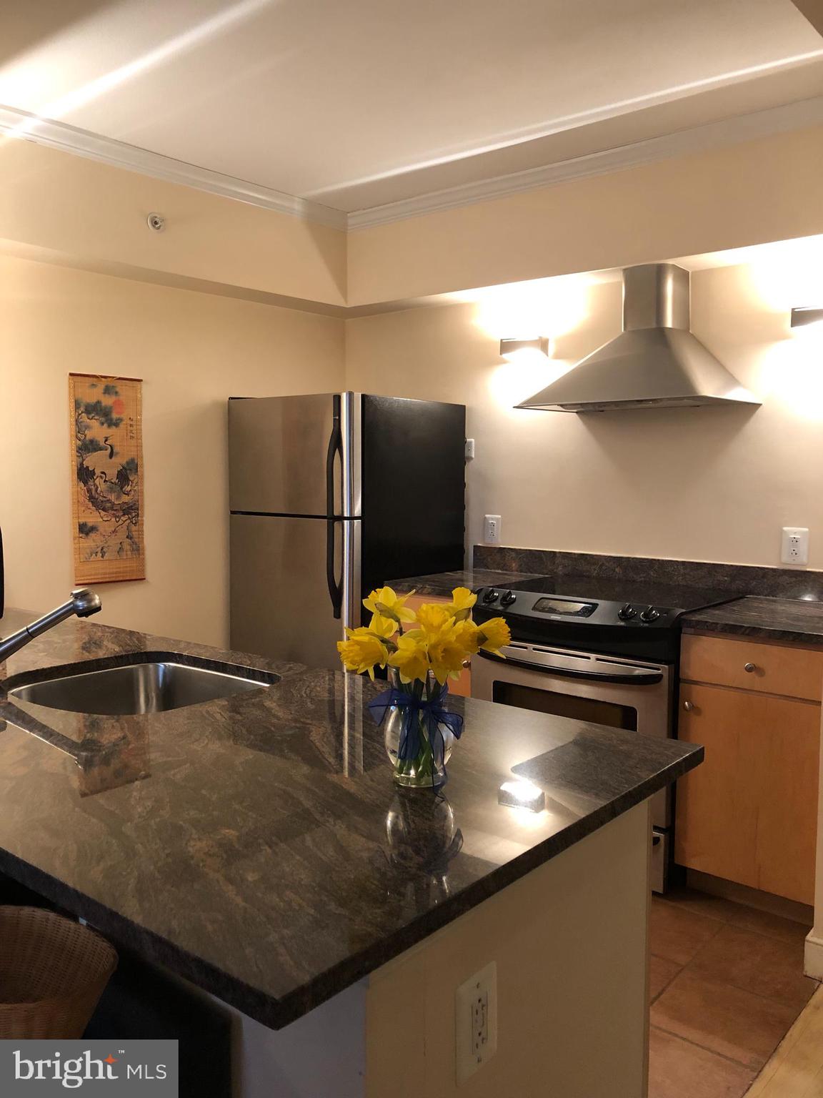 631 D Street Northwest, Unit 338 Washington, DC 20004 - Photo 4 of 73