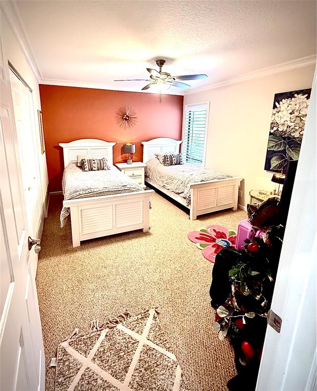 3117 Kingswood Terrace, Unit 3117 Boca Raton, FL 33431 - Photo 8 of 15 a living room with a couch and a potted plant