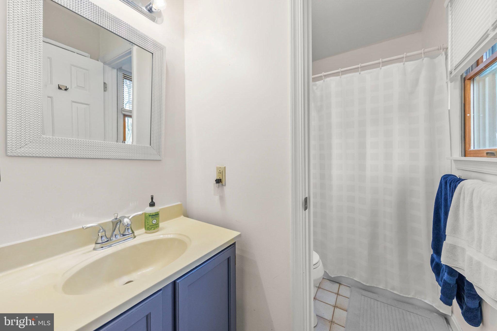 111 Asbury Road Winchester, VA 22602 - Photo 19 of 39 Bright and inviting bathroom retreat.