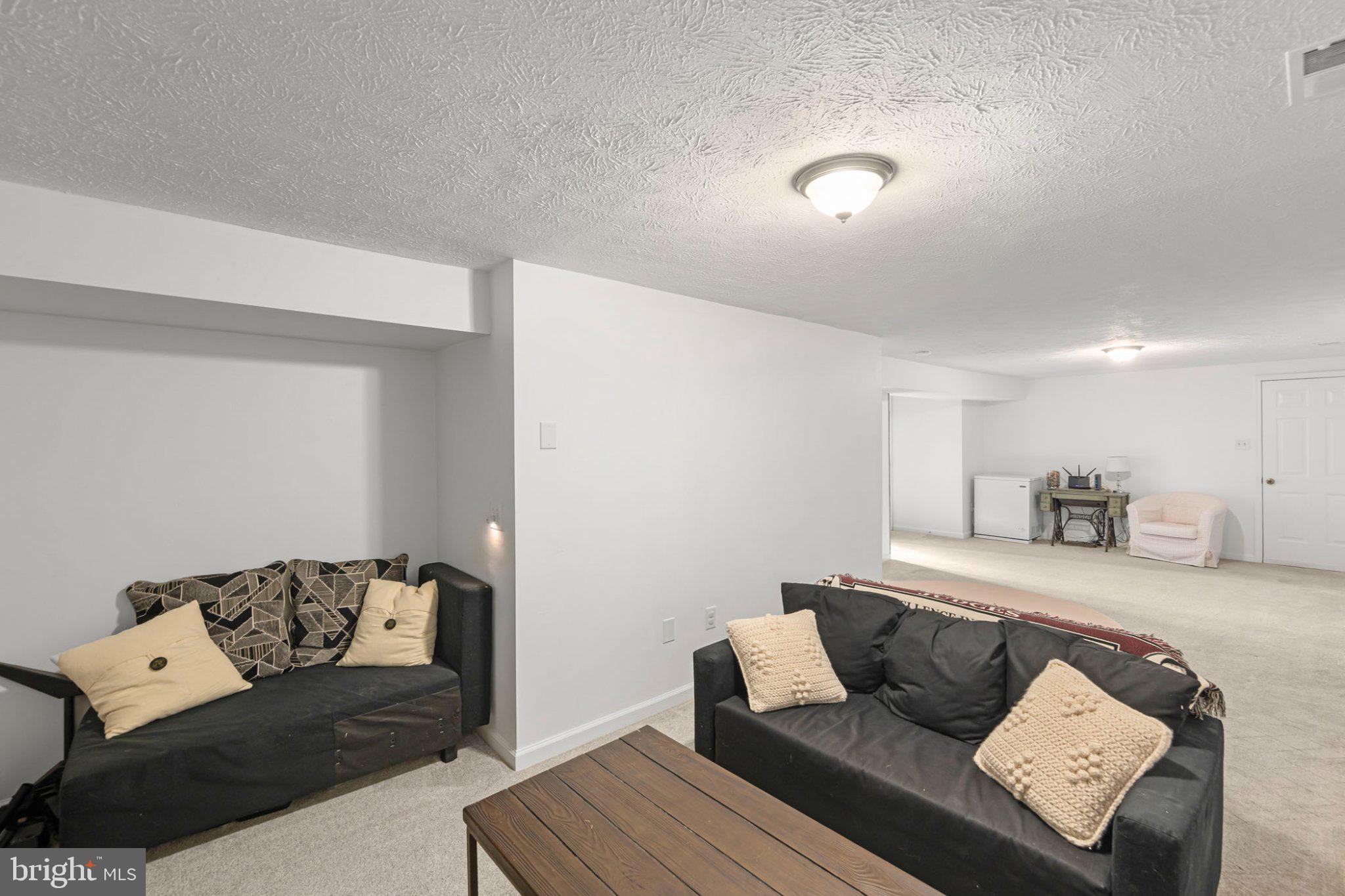 111 Asbury Road Winchester, VA 22602 - Photo 25 of 39 Spacious, inviting living area awaits.