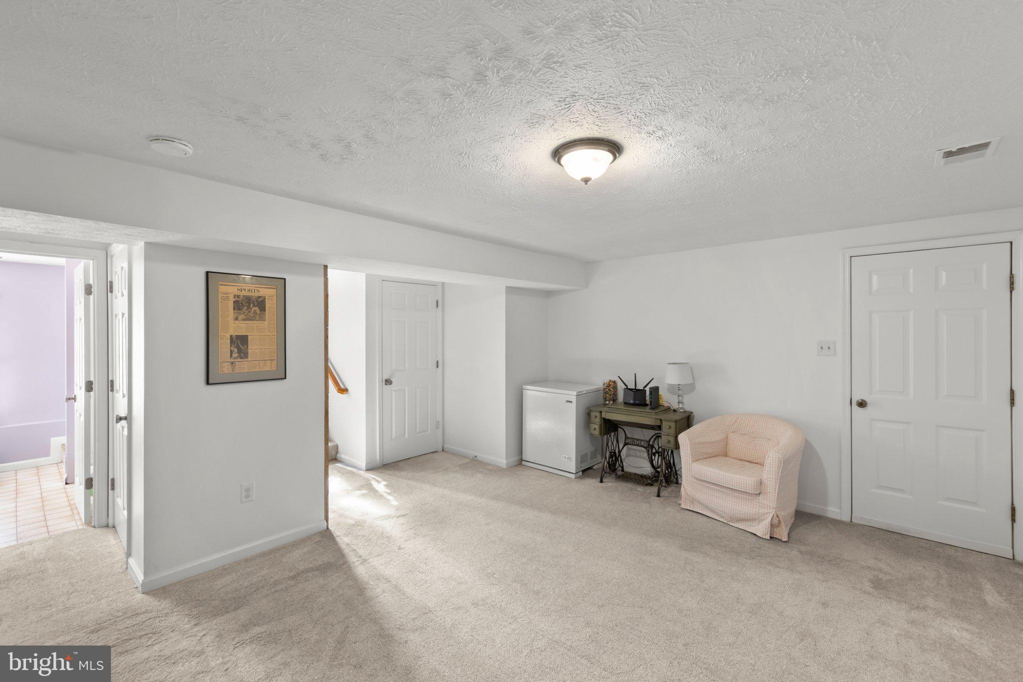 111 Asbury Road Winchester, VA 22602 - Photo 27 of 39 Spacious, versatile basement retreat.