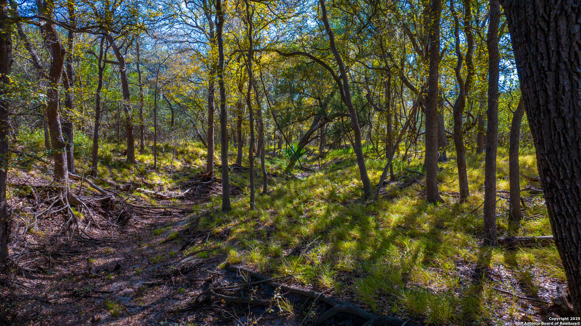 0 Private Road 4010 Beeville, TX 78102 - Photo 11 of 17