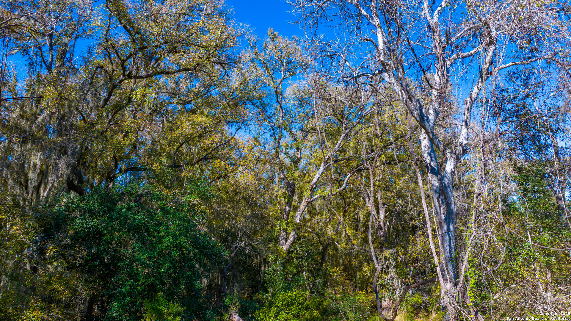 0 Private Road 4010 Beeville, TX 78102 - Photo 13 of 17