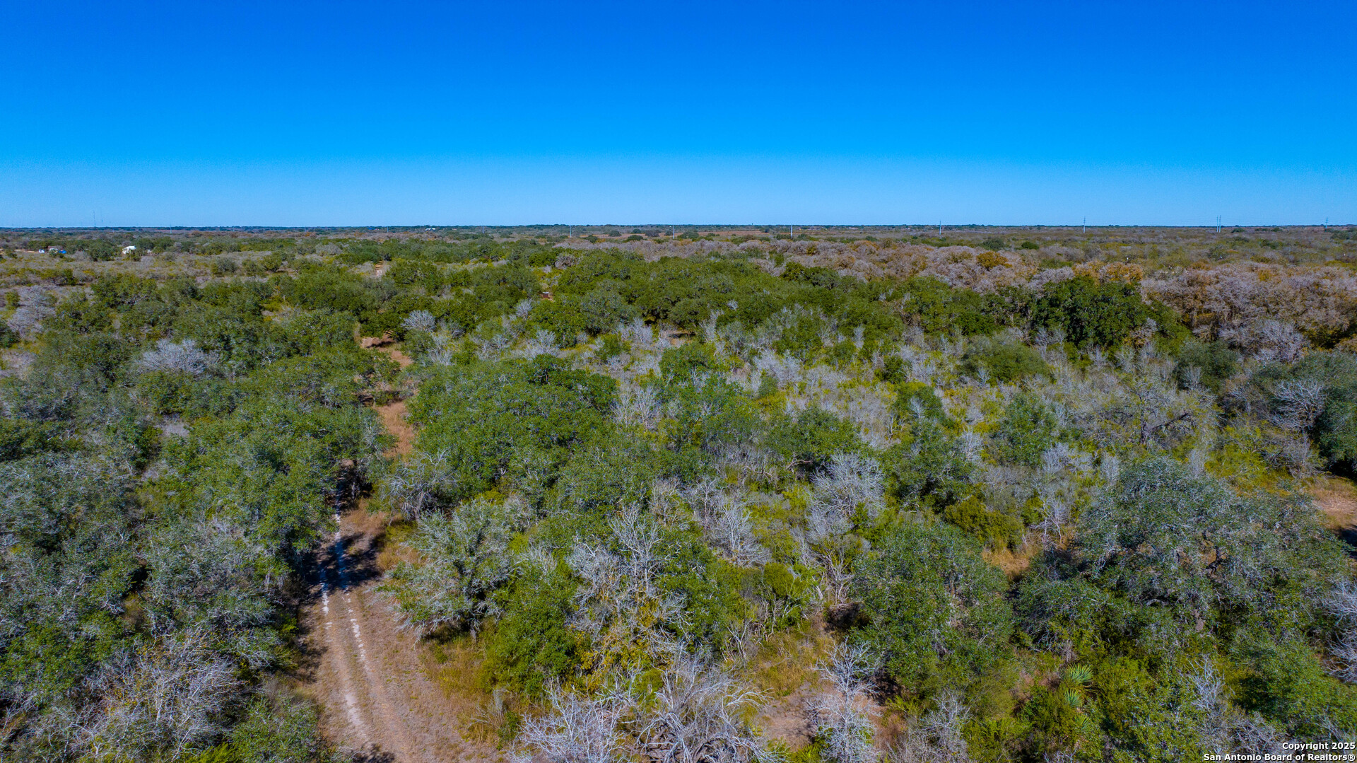 0 Private Road 4010 Beeville, TX 78102 - Photo 14 of 17