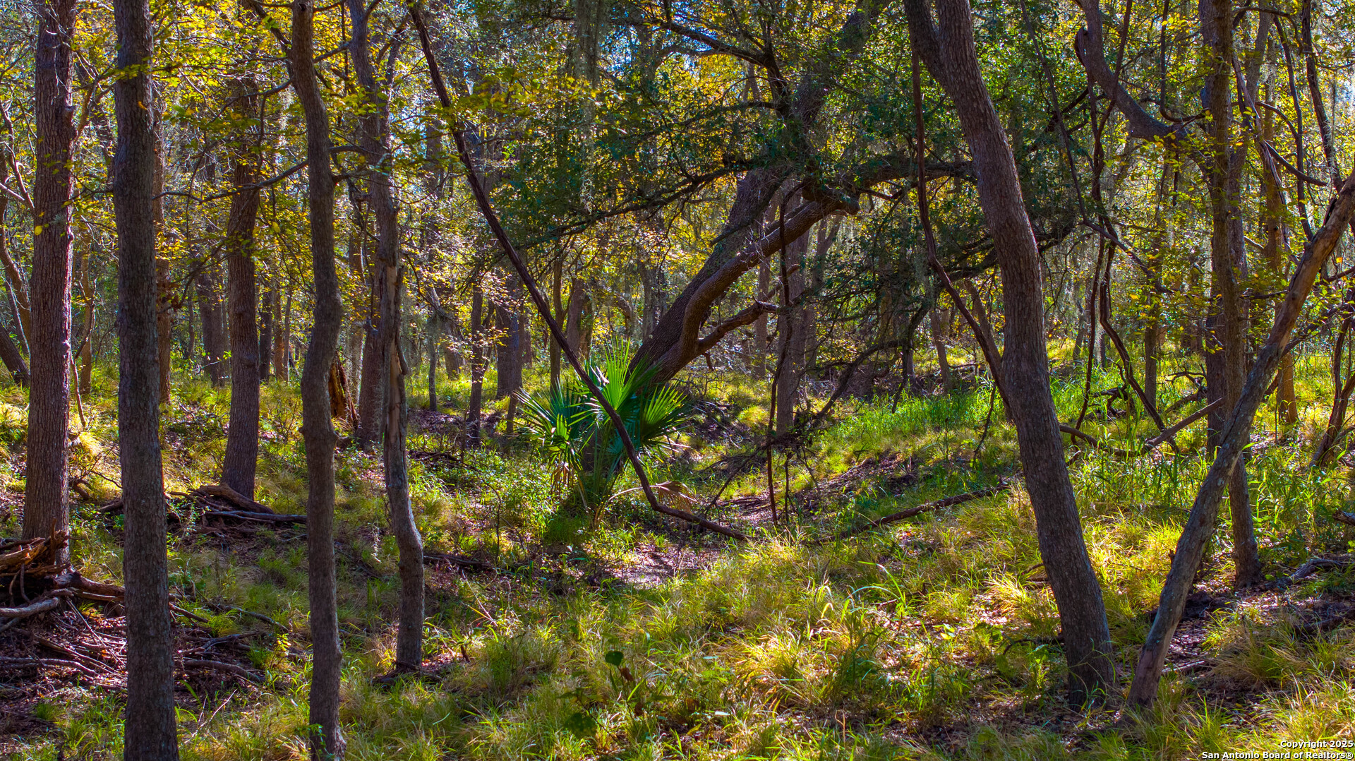 0 Private Road 4010 Beeville, TX 78102 - Photo 16 of 17