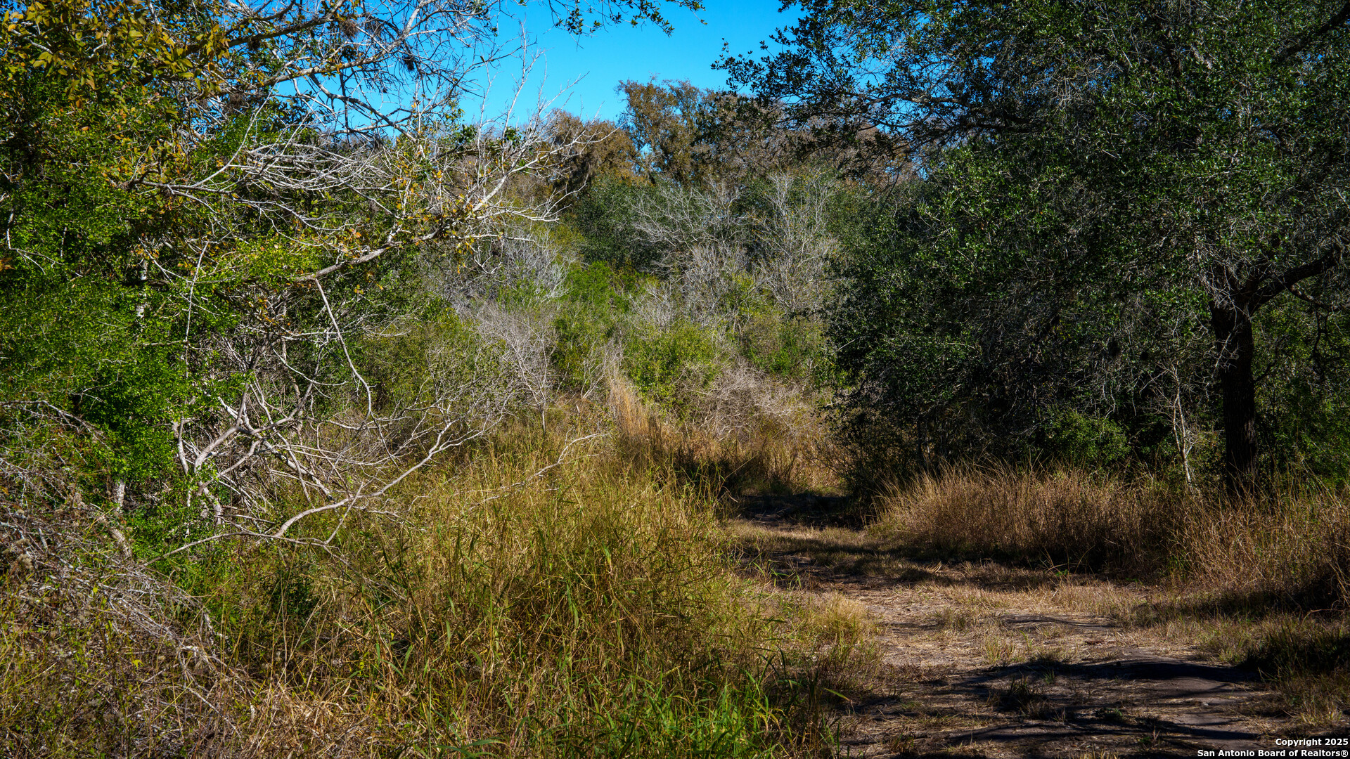 0 Private Road 4010 Beeville, TX 78102 - Photo 17 of 17
