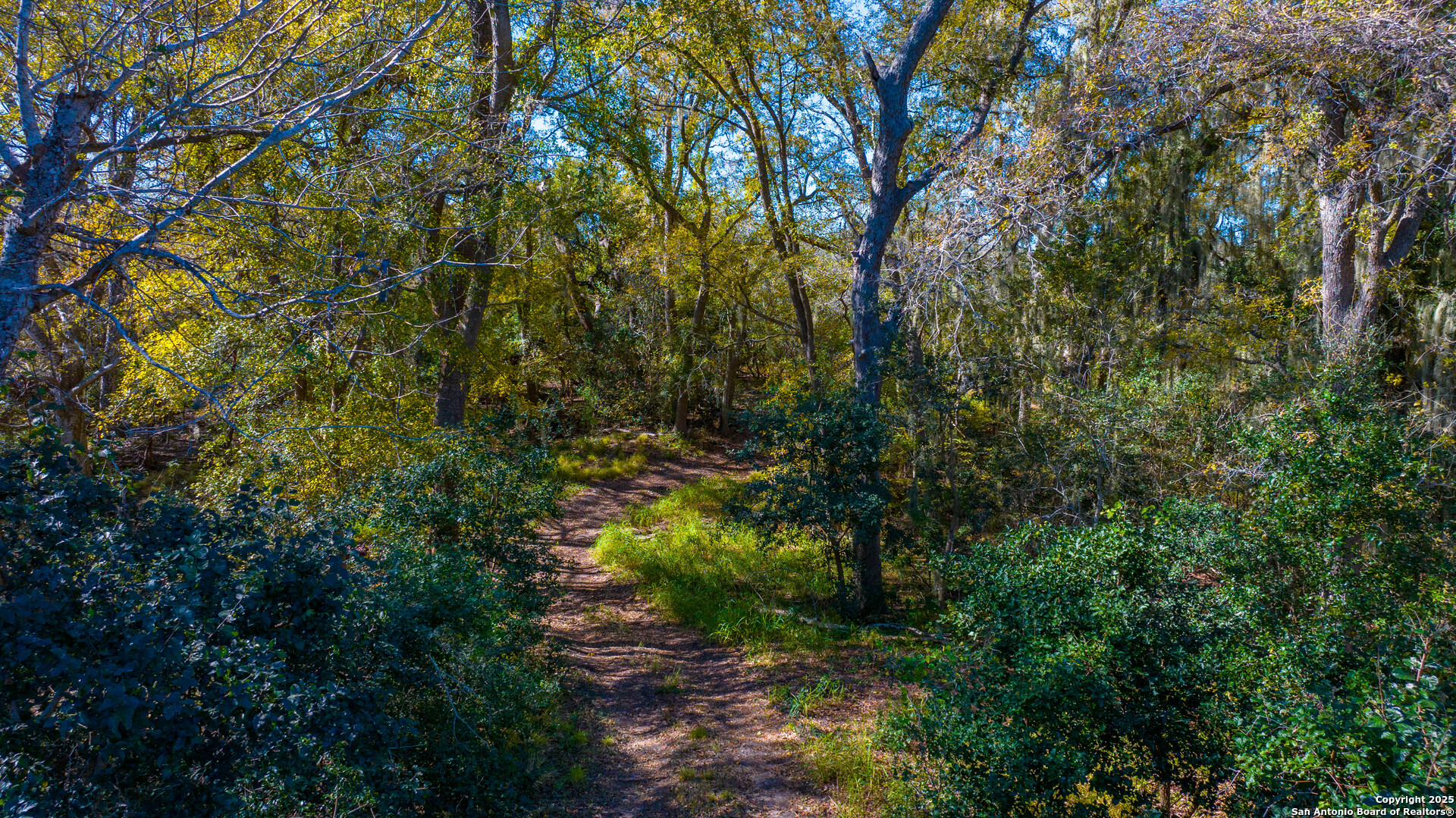 0 Private Road 4010 Beeville, TX 78102 - Photo 3 of 17