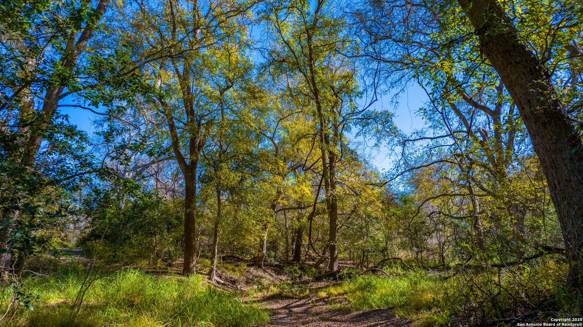 0 Private Road 4010 Beeville, TX 78102 - Photo 4 of 17